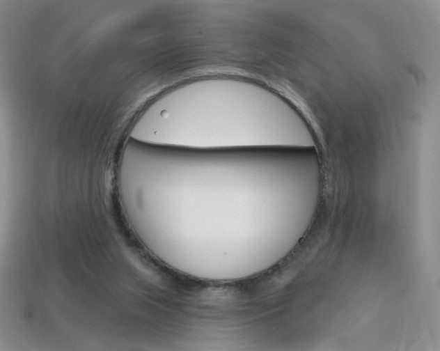 X0000114200063200910091057