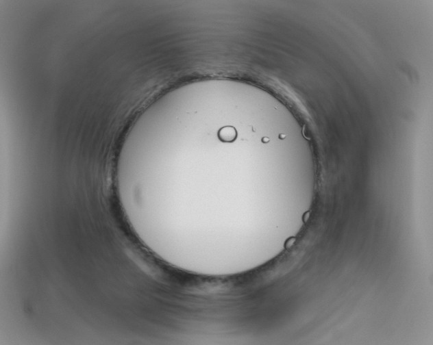 X0000114200065200910091057