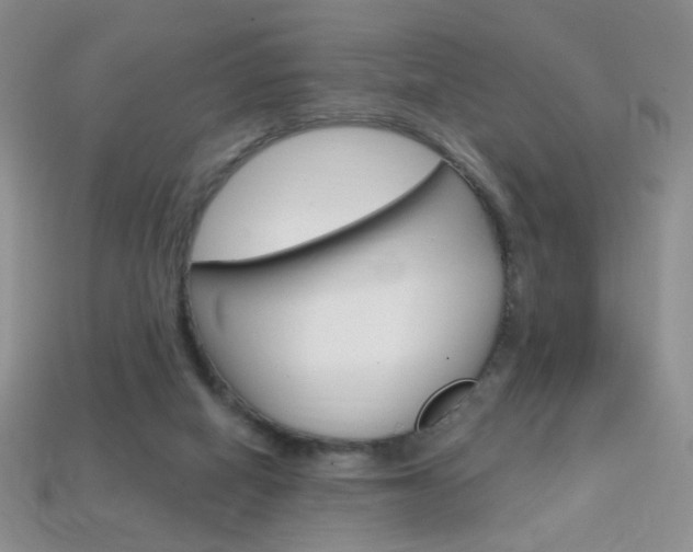 X0000114200066200910091057