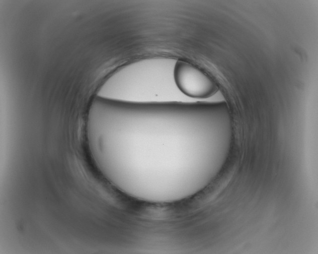 X0000114200071200910091057
