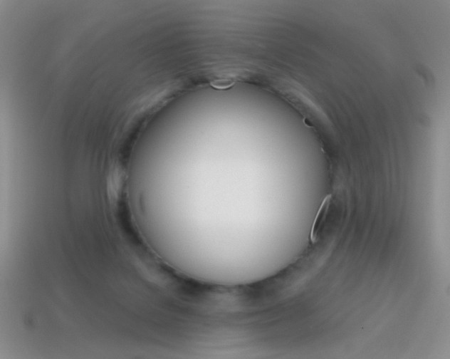 X0000114200076200910091057