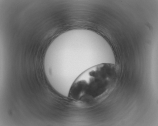 X0000114200078200910091057