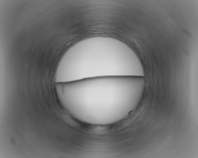 X0000114200081200910091057
