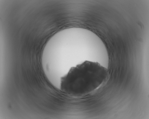 X0000114200082200910091057