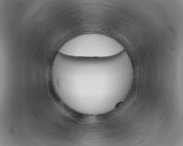 X0000114200083200910091057