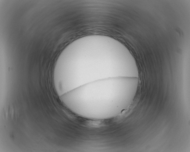 X0000114200086200910091057