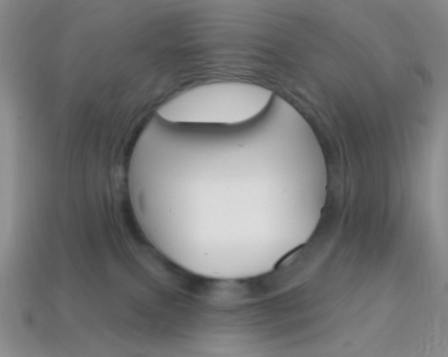 X0000114200087200910091057
