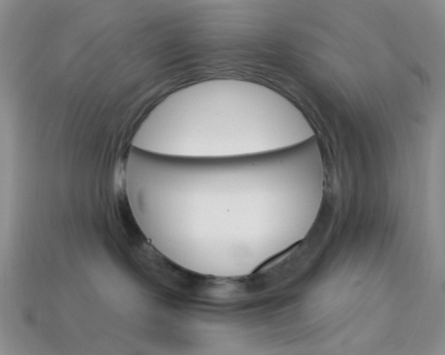 X0000114200095200910091057