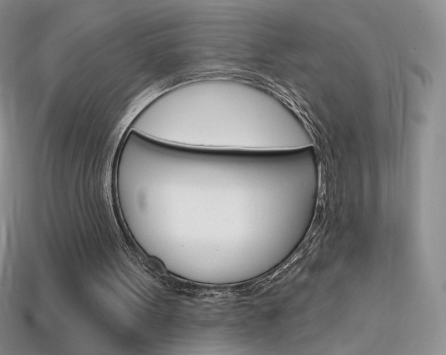 X0000114200099200910091057