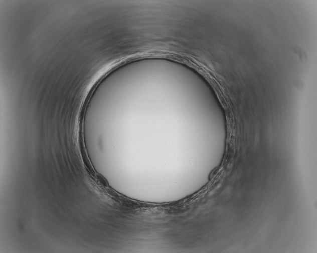 X0000114200100200910091057