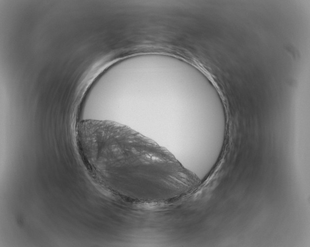 X0000114200103200910091057