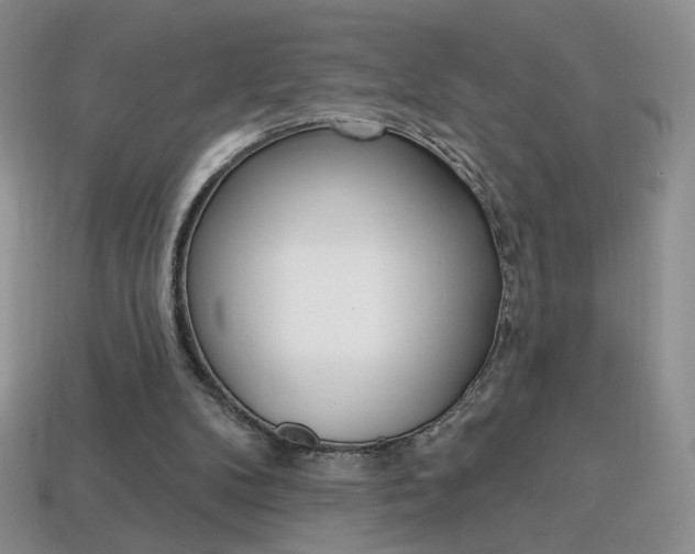 X0000114200104200910091057