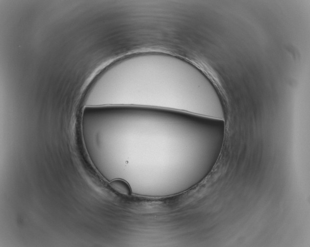 X0000114200108200910091057