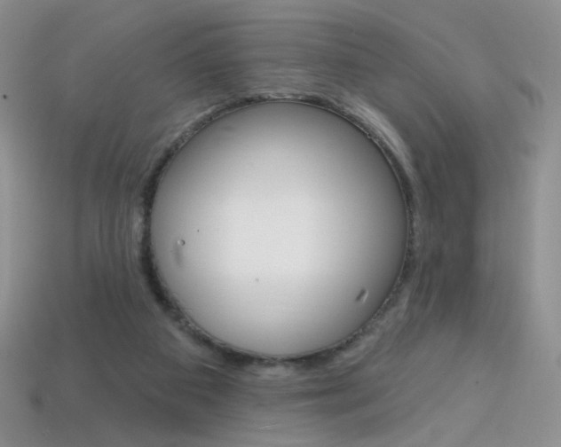 X0000114200113200910091057