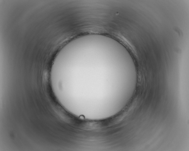 X0000114200117200910091056