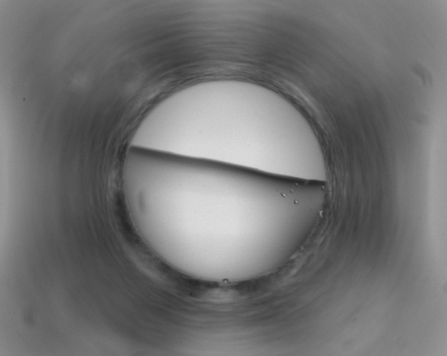 X0000114200119200910091056