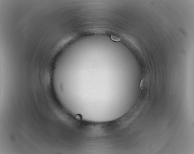 X0000114200120200910091056