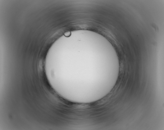 X0000114200122200910091056