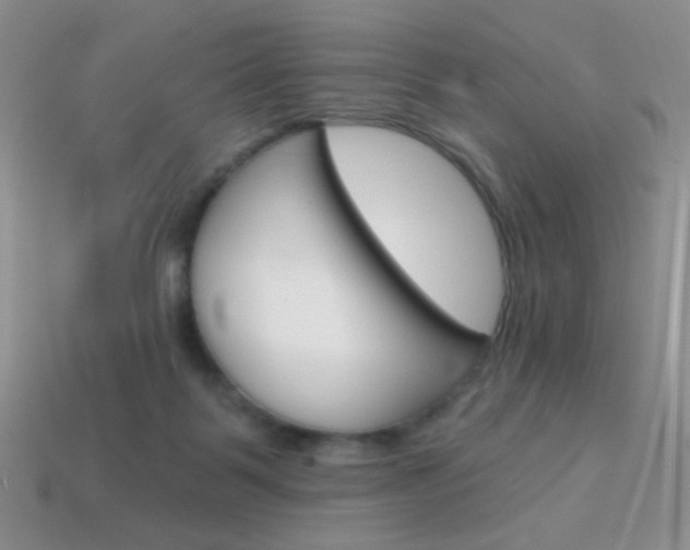 X0000114200123200910091056