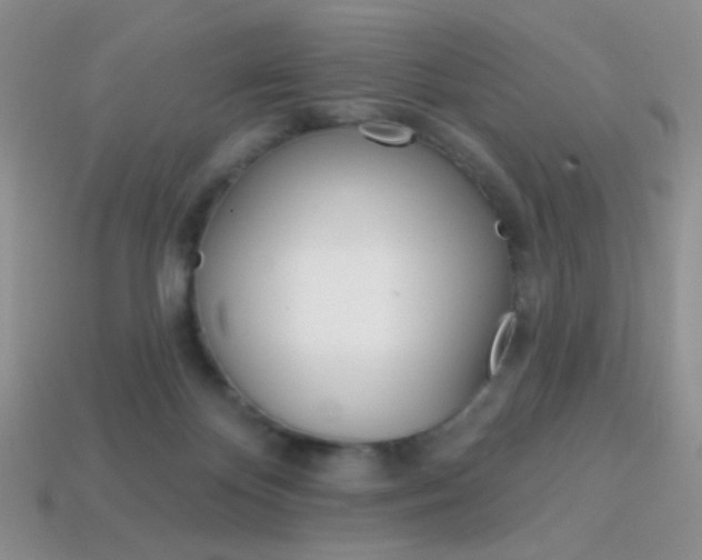 X0000114200124200910091056