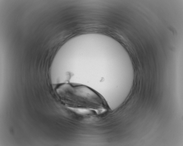 X0000114200125200910091056