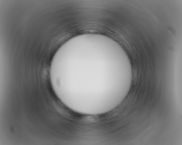 X0000114200126200910091056
