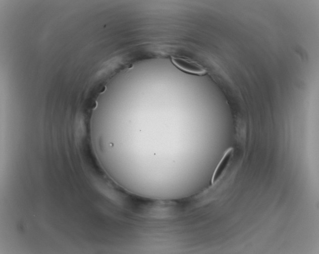 X0000114200128200910091056