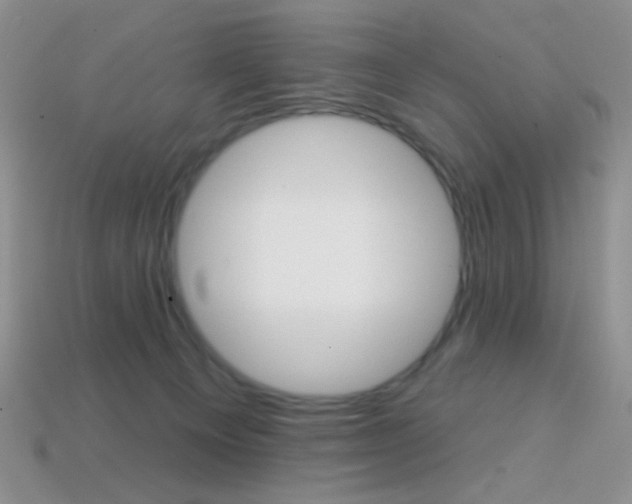 X0000114200129200910091056