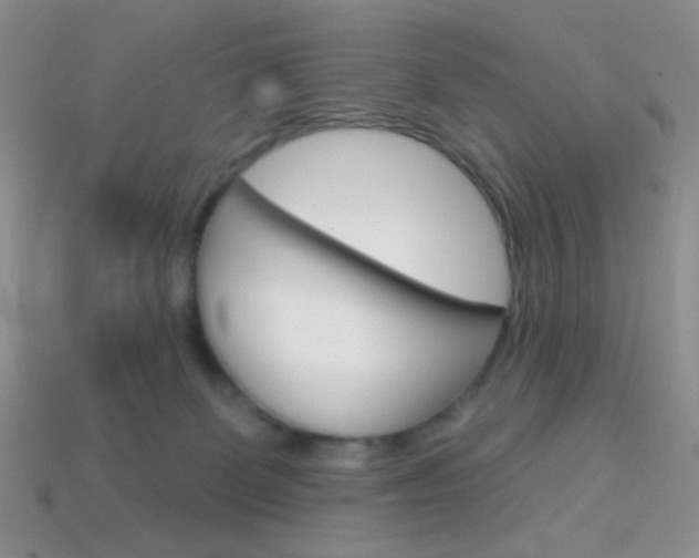X0000114200131200910091056