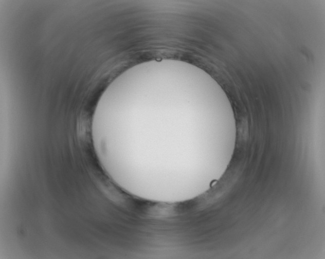 X0000114200138200910091056