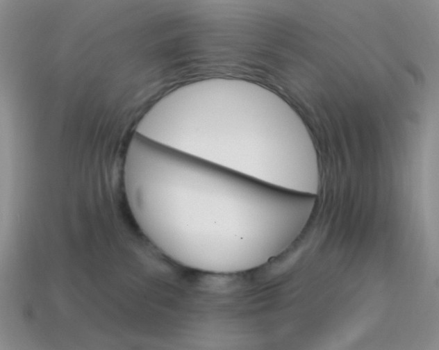 X0000114200139200910091056