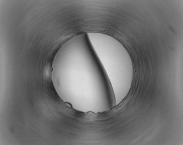 X0000114200143200910091056