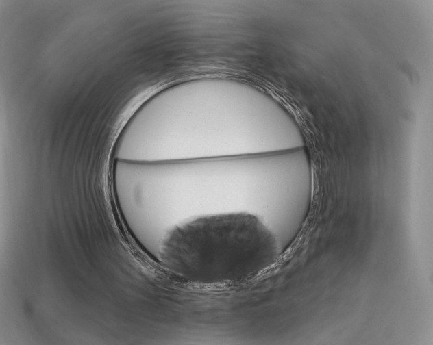 X0000114200147200910091056
