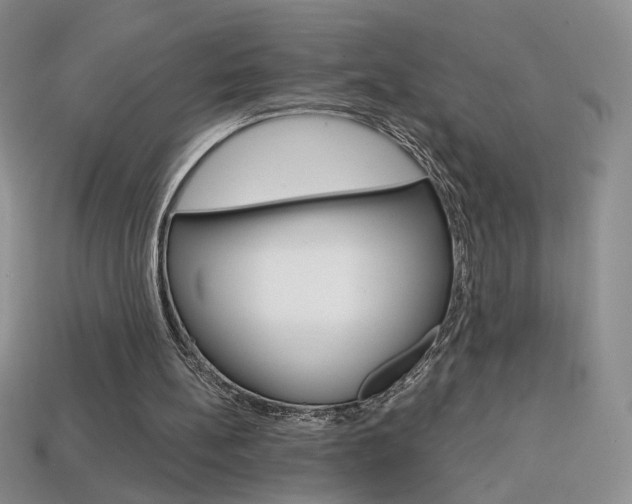 X0000114200148200910091056