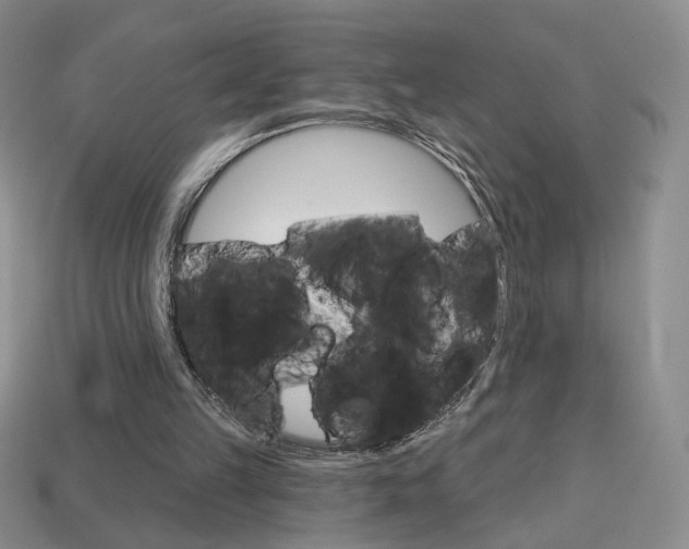 X0000114200149200910091056