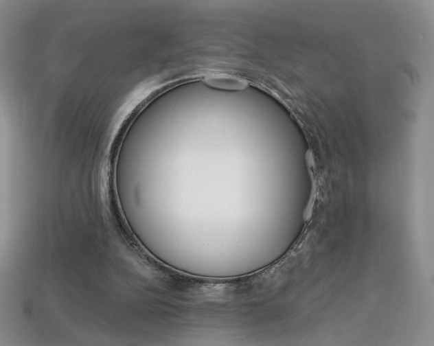 X0000114200152200910091056