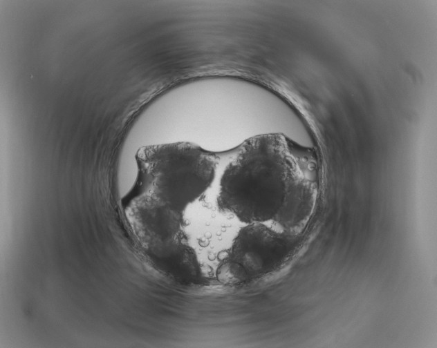 X0000114200153200910091056