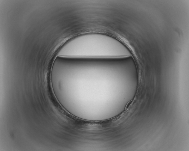 X0000114200154200910091056