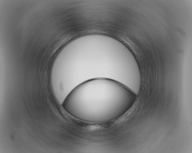 X0000114200158200910091056