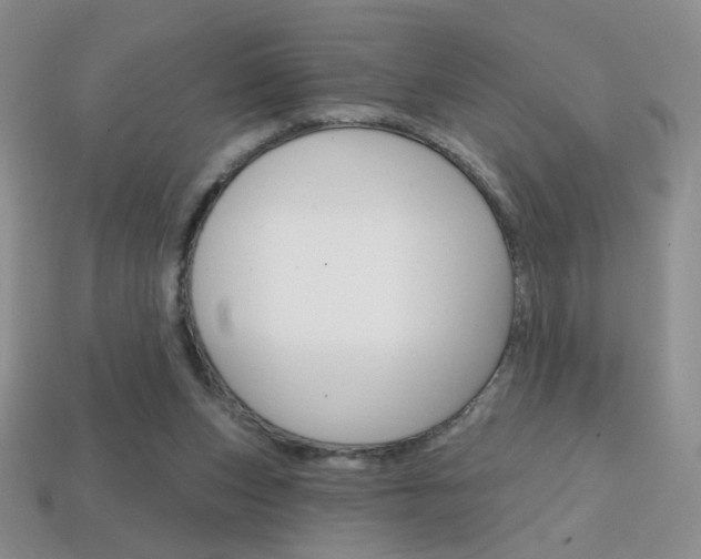 X0000114200159200910091056