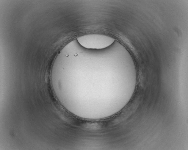 X0000114200161200910091056