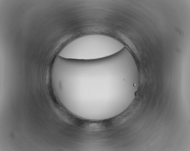 X0000114200163200910091056