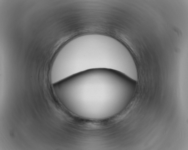 X0000114200164200910091056