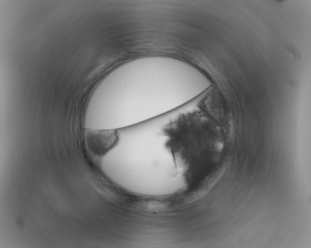X0000114200165200910091056