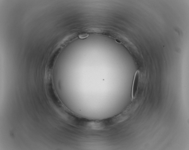 X0000114200168200910091056