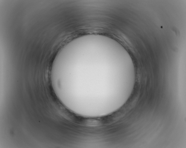 X0000114200169200910091056