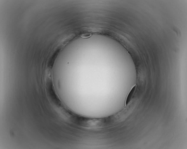 X0000114200172200910091056