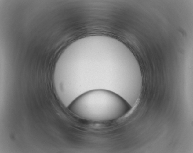 X0000114200174200910091056