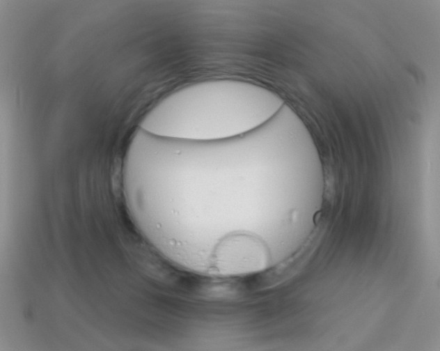 X0000114200175200910091056