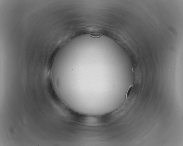 X0000114200176200910091056